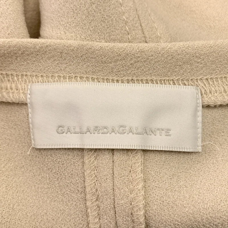 GALLARDAGALANTE / ガリャルダガランテ | ジョーゼットブラウス カットソー | F | レディース