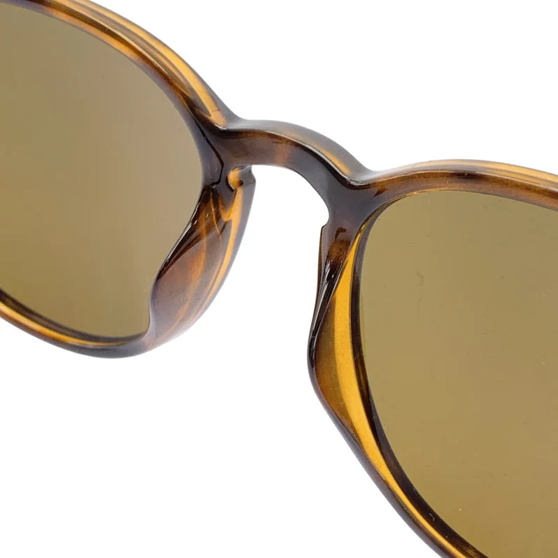 Ray-Ban / レイバン | ボストン型 サングラス / RB4259 | 53◻︎20 150 | その他