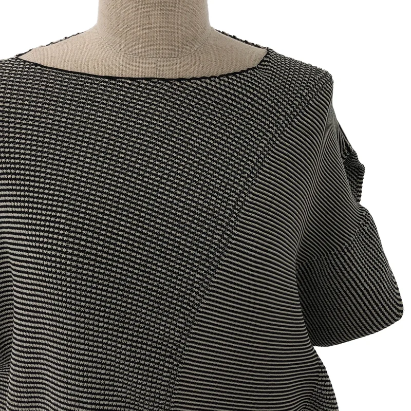ISSEY MIYAKE / イッセイミヤケ | 2022SS | ボーダー柄 ワンピース | 2 | レディース