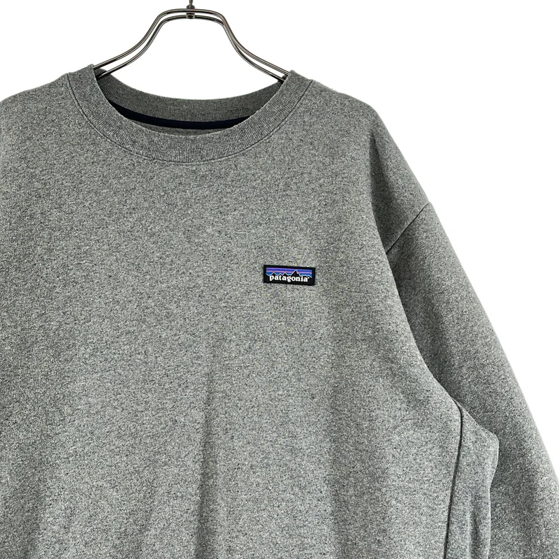 Patagonia / パタゴニア | P6 ラベルアップライザルクルースウェットシャツ | L | メンズ