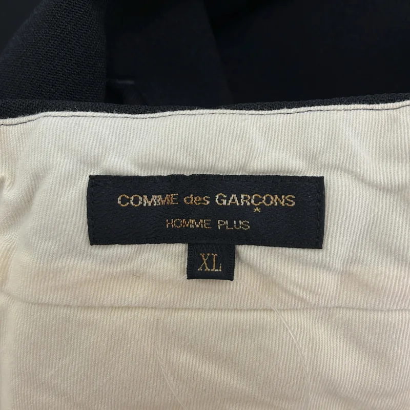 COMME des GARCONS HOMME PLUS / コムデギャルソンオムプリュス | 2017AW | ポリエステル縮絨 寅壱パンツ | XL | メンズ