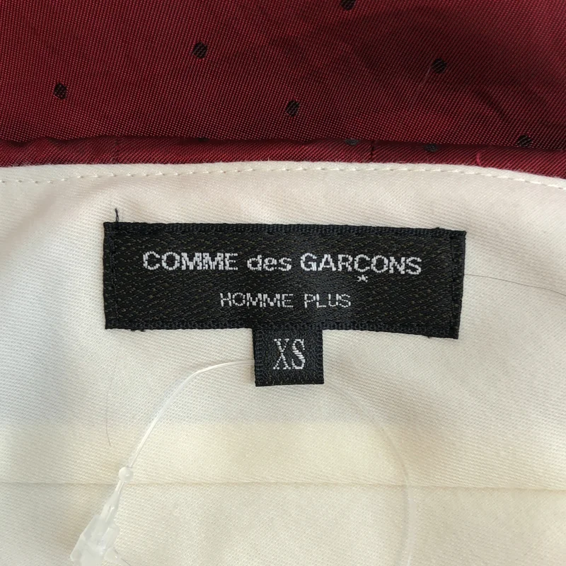 COMME des GARCONS HOMME PLUS / コムデギャルソンオムプリュス | 2009AW | ドットキュプラレイヤードワイドパンツ | XS | メンズ