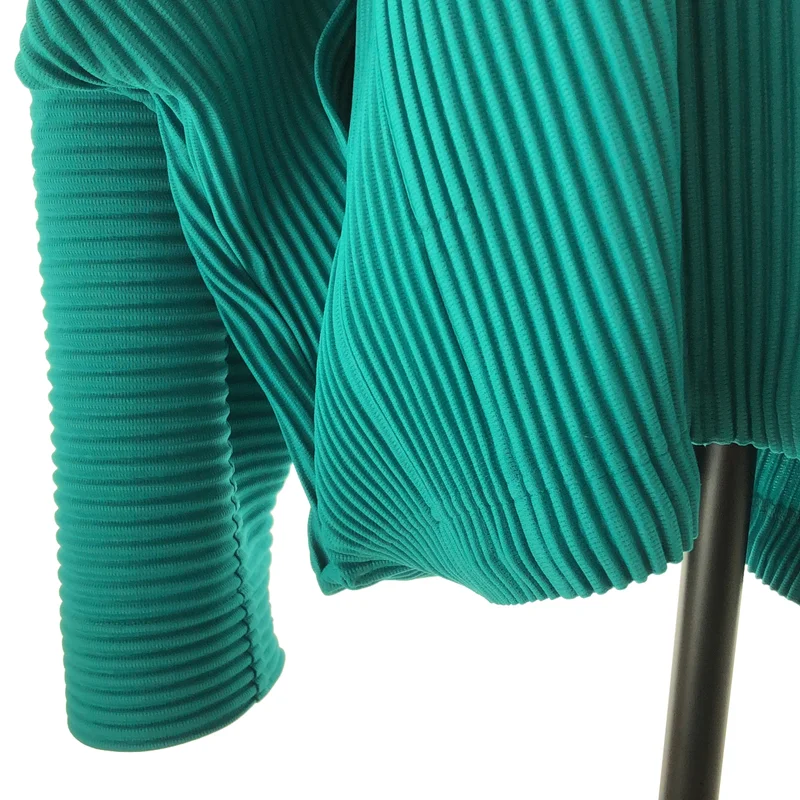 HOMME PLISSE ISSEY MIYAKE / オムプリッセイッセイミヤケ | 2025SS | MONTHLY COLOR MAY / プリーツ オーバーシルエット ロゴジップ ジャケット フーディ | 4 | メンズ