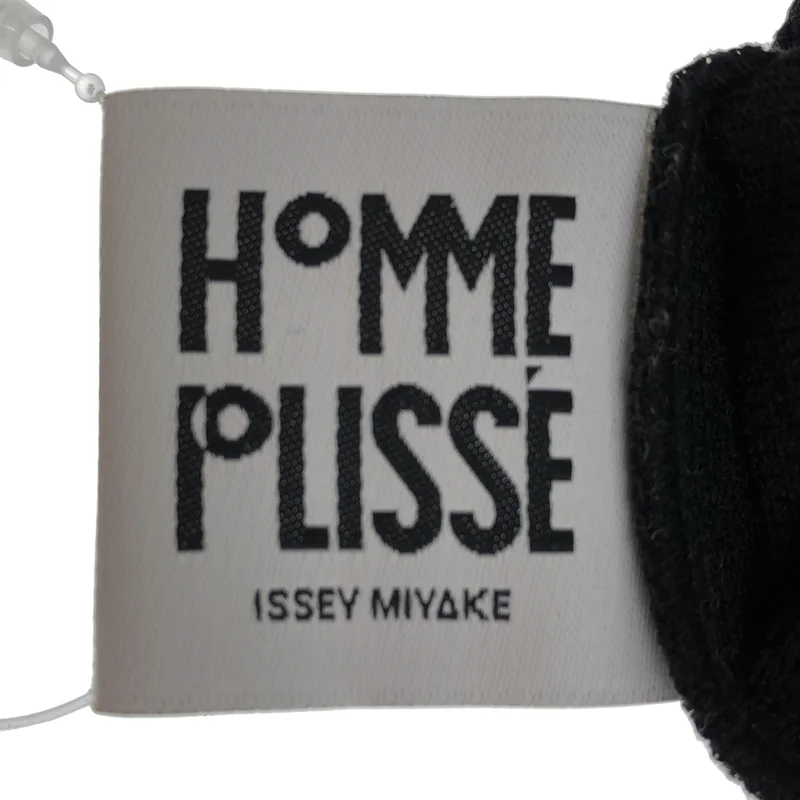 HOMME PLISSE ISSEY MIYAKE / オムプリッセイッセイミヤケ | 2025AW | BASICS プリーツ ロングスリーブカットソー | 3 | メンズ