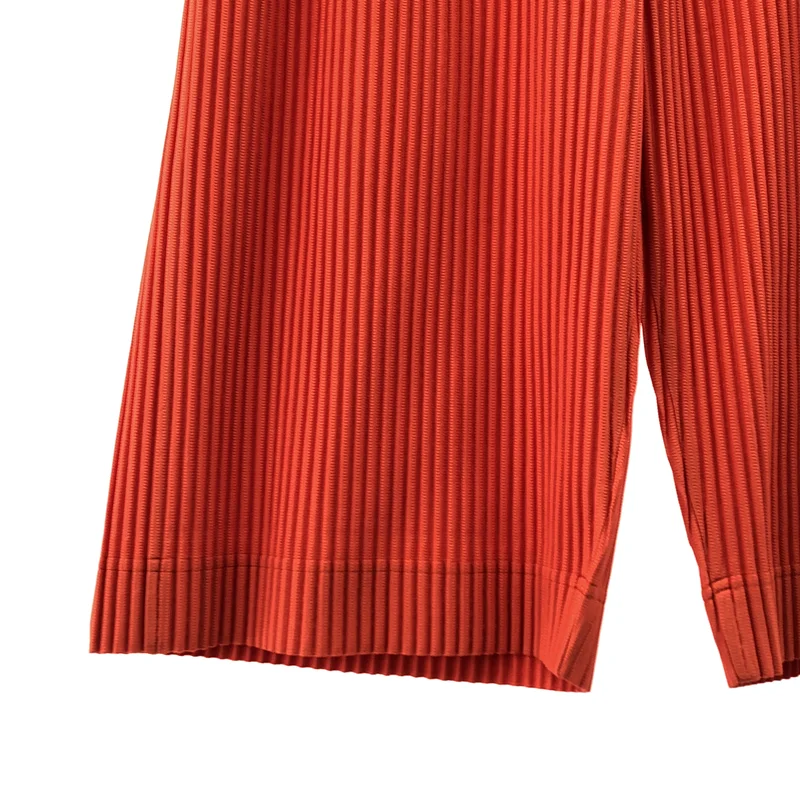 HOMME PLISSE ISSEY MIYAKE / オムプリッセイッセイミヤケ | 2024AW | プリーツ ハーフパンツ | 2 | メンズ