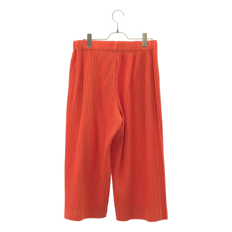 HOMME PLISSE ISSEY MIYAKE / オムプリッセイッセイミヤケ | 2024AW | プリーツ ハーフパンツ | 2 | メンズ
