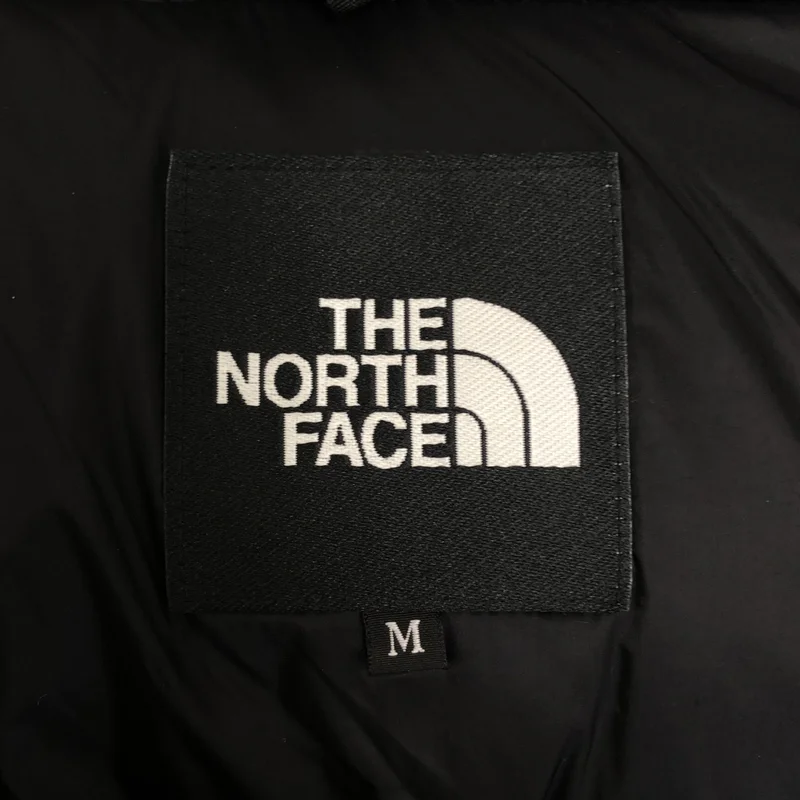 THE NORTH FACE / ザノースフェイス | GORE-TEX Baltro Light Jacket / ND91950 ゴアテックス バルトロ ライト ジャケット | M | メンズ