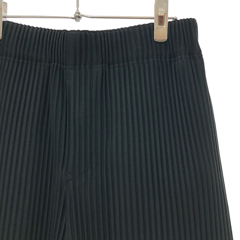 HOMME PLISSE ISSEY MIYAKE / オムプリッセイッセイミヤケ | 2025SS | プリーツ ワイドパンツ | 1 | メンズ
