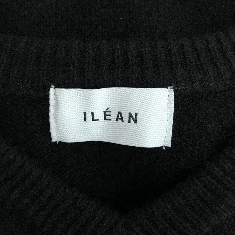 None / | ILEAN / イリアン / カシミヤ Vネックニット | 1 | メンズ