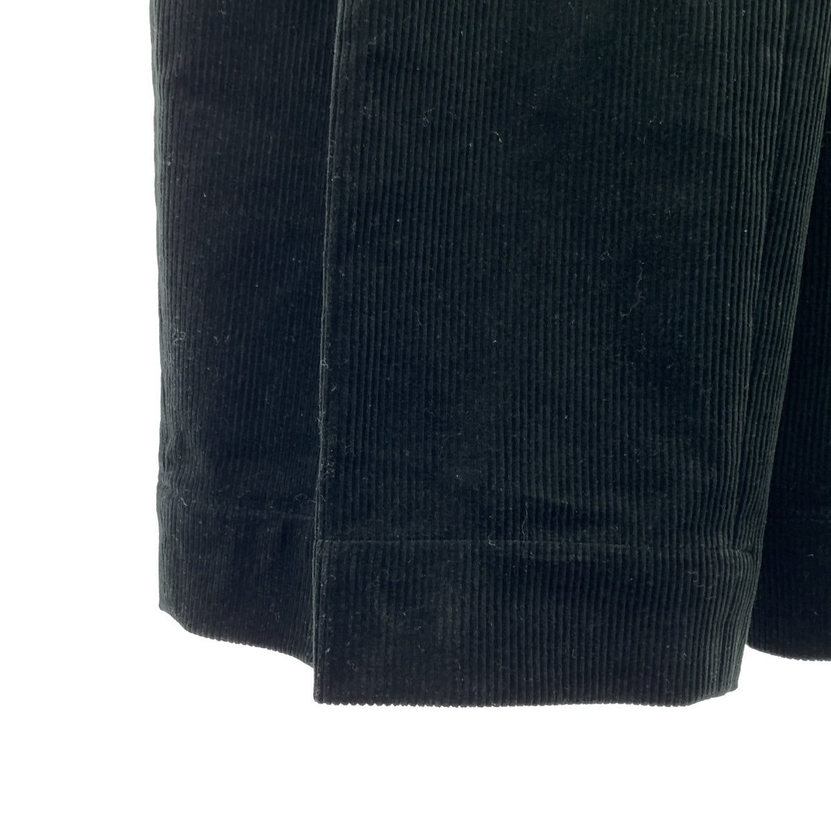 美品】 BISOWN / ビソウン | 2025AW | CORDUROY 2TUCK WIDE TROUSERS