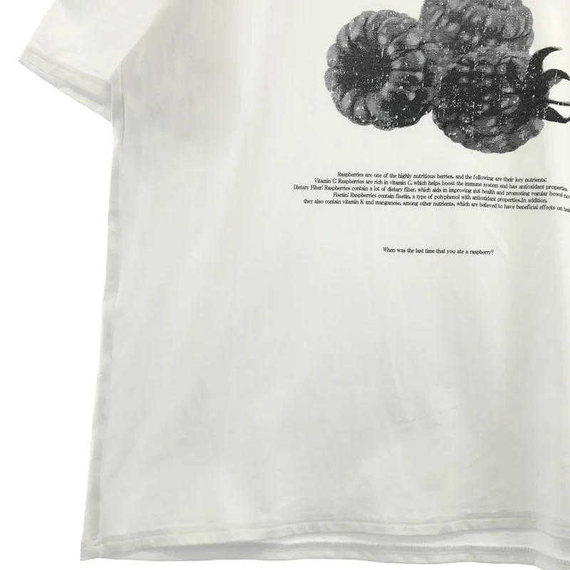 AMERI / アメリ | MEDI NUTRIENT AT FRUIT LAYERED TOP フルーツ プリント レイヤード Tシャツ | F | レディース