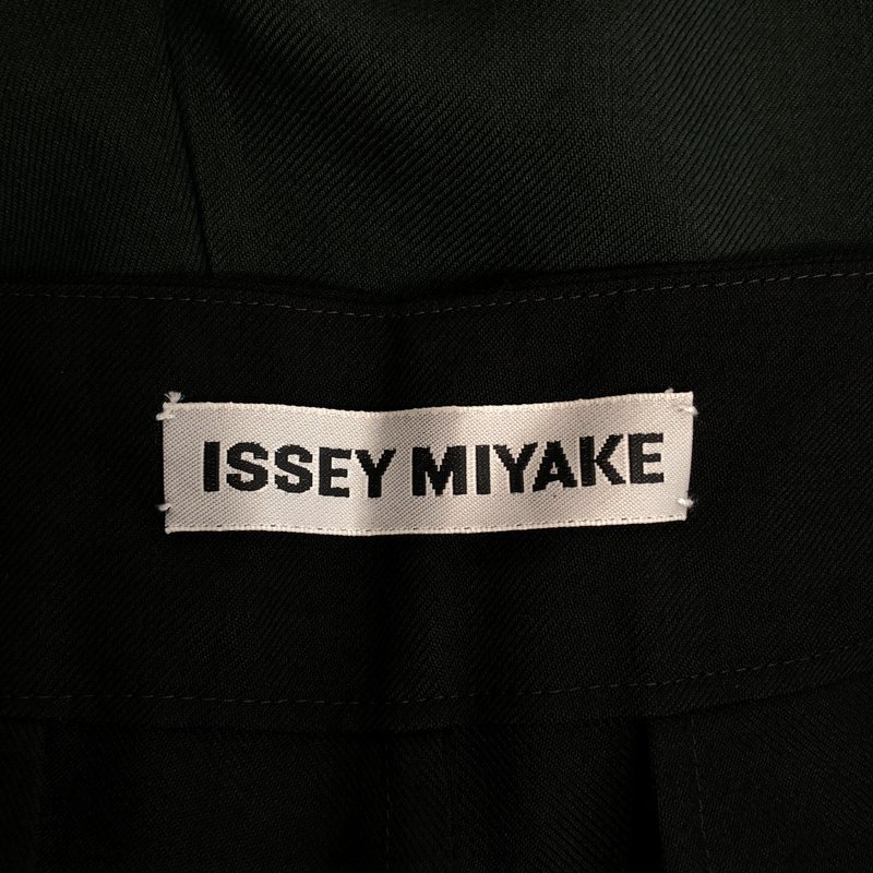 ISSEY MIYAKE / イッセイミヤケ | グラデーション パンツ | 2 | レディース