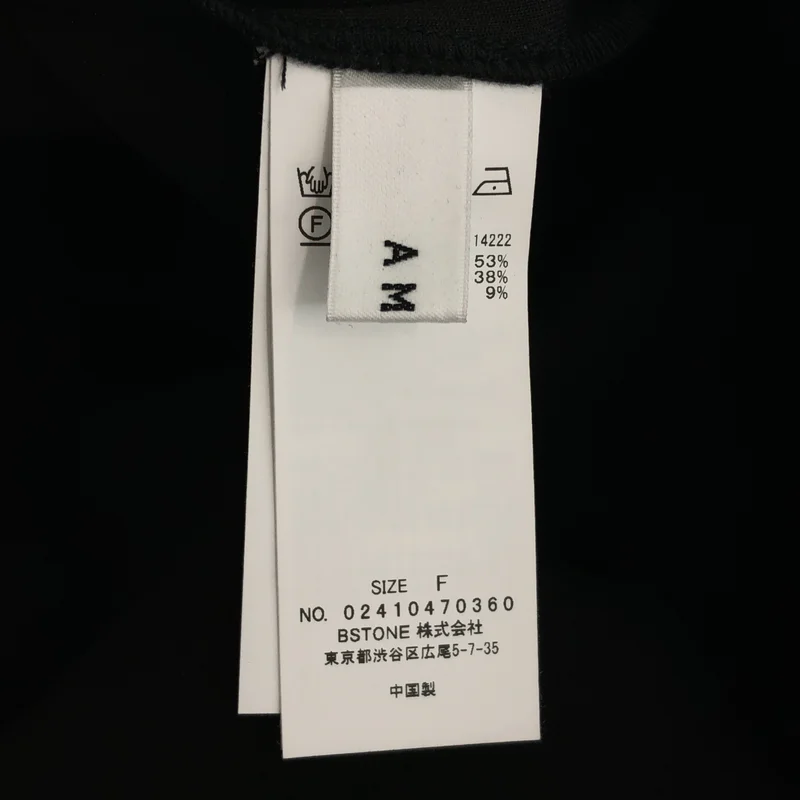 AMERI / アメリ | 2024SS | ティアード チュールトップス | F | レディース