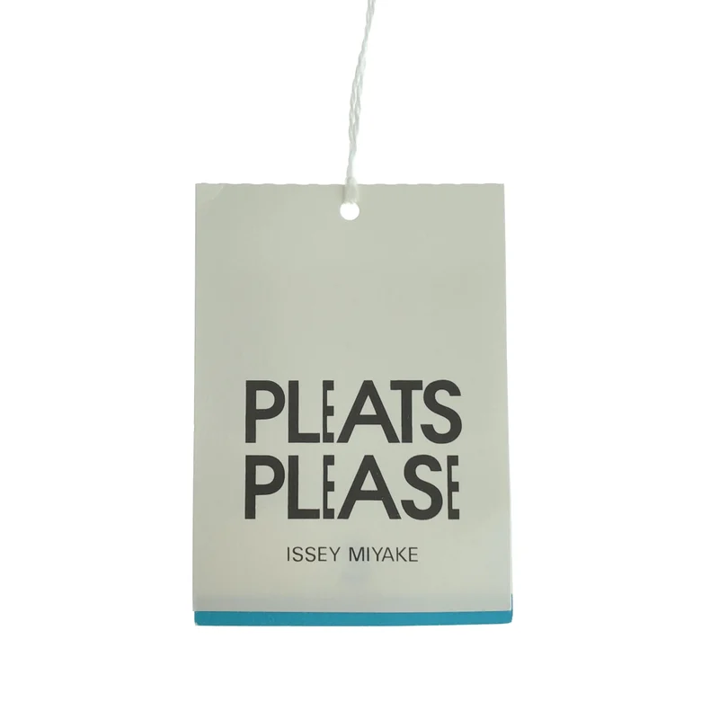 PLEATS PLEASE ISSEY MIYAKE / プリーツプリーズイッセイミヤケ | 2025AW | GROOVE プリーツワンピース | 3 | レディース