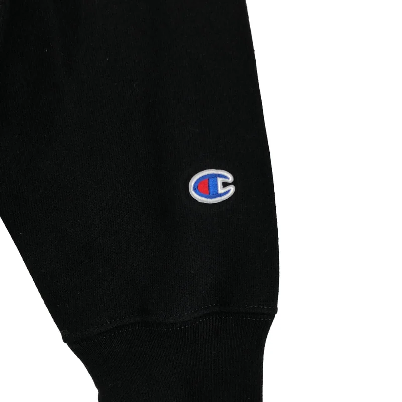 CHAMPION / チャンピオン | Do Nothing Congress / リバースウィーブ 刺しゅう スウェット | L | メンズ