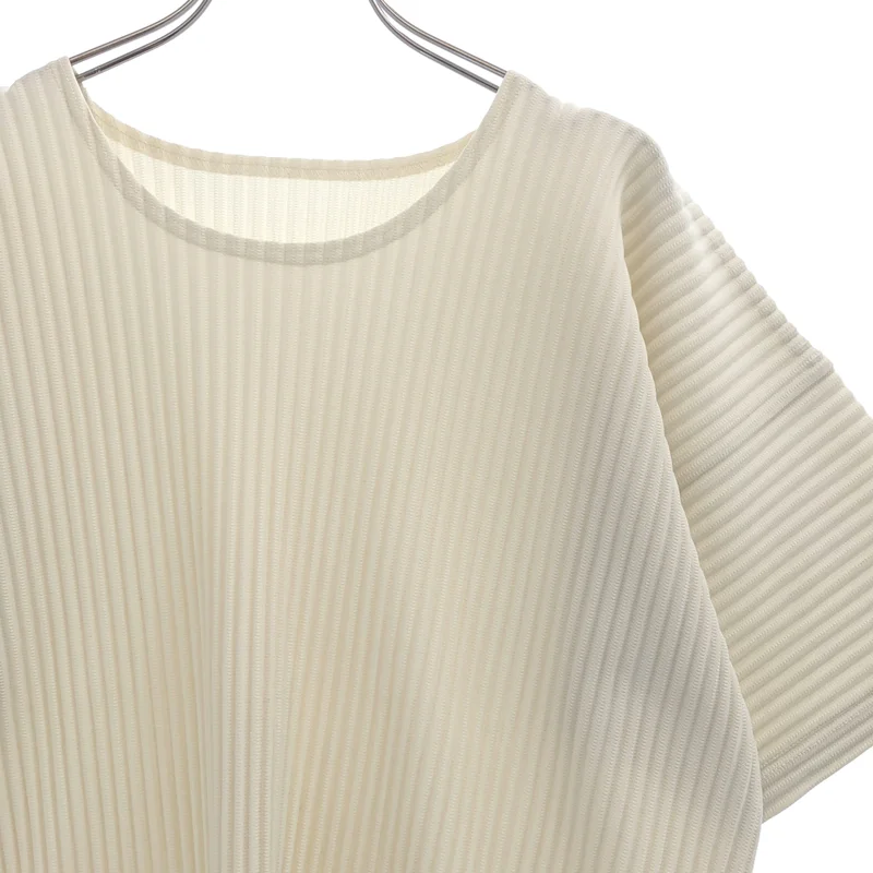 HOMME PLISSE ISSEY MIYAKE / オムプリッセイッセイミヤケ | プリーツ Tシャツ カットソー | 2 | メンズ