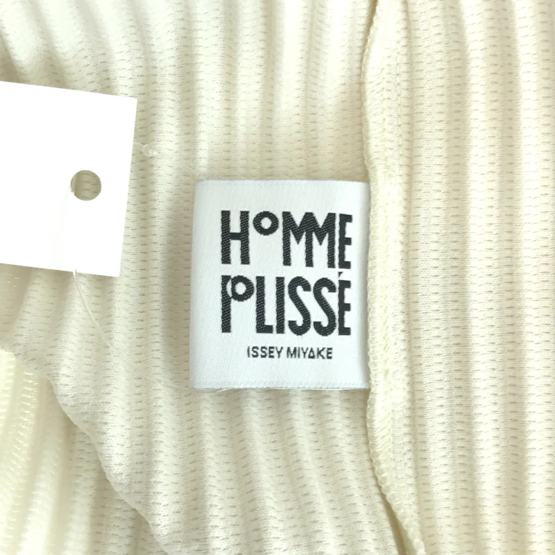 HOMME PLISSE ISSEY MIYAKE / オムプリッセイッセイミヤケ | プリーツ Tシャツ カットソー | 2 | メンズ