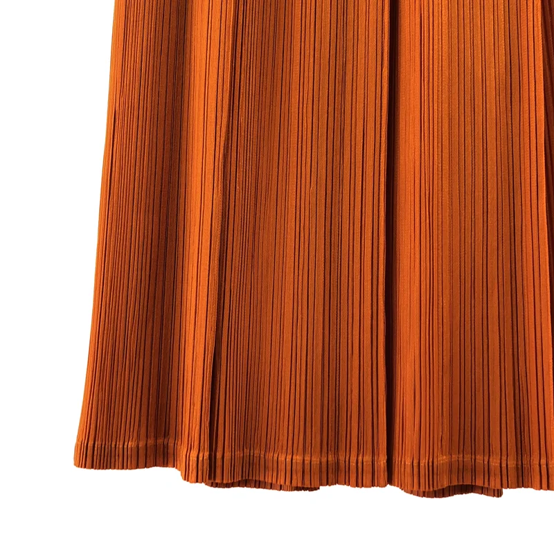 PLEATS PLEASE ISSEY MIYAKE / プリーツプリーズイッセイミヤケ | 2025AW | MONTHLY プリーツ スカート | 3 | レディース