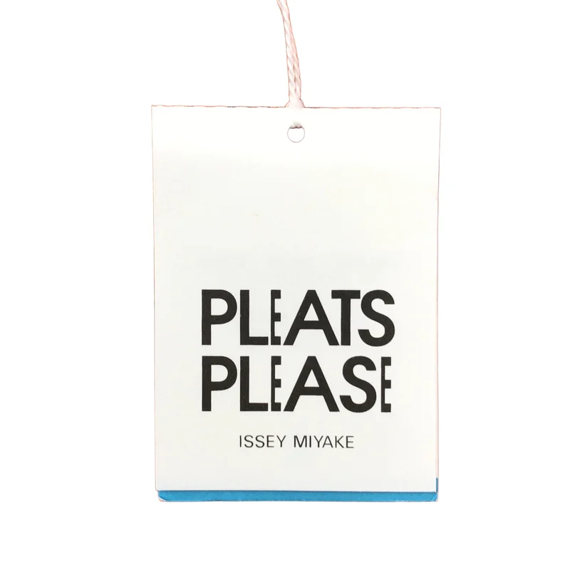 PLEATS PLEASE ISSEY MIYAKE / プリーツプリーズイッセイミヤケ | 2025AW | MONTHLY プリーツ スカート | 3 | レディース