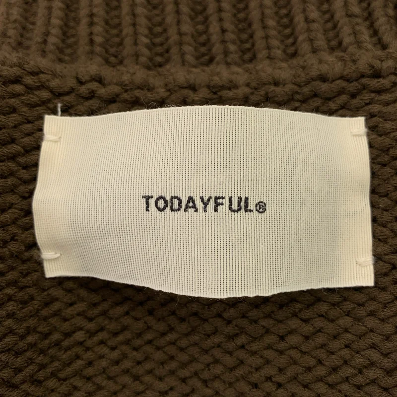 TODAYFUL / トゥデイフル | 2025AW | Raglan Knit Pullover / コットン ラグランニット プルオーバー | F | レディース