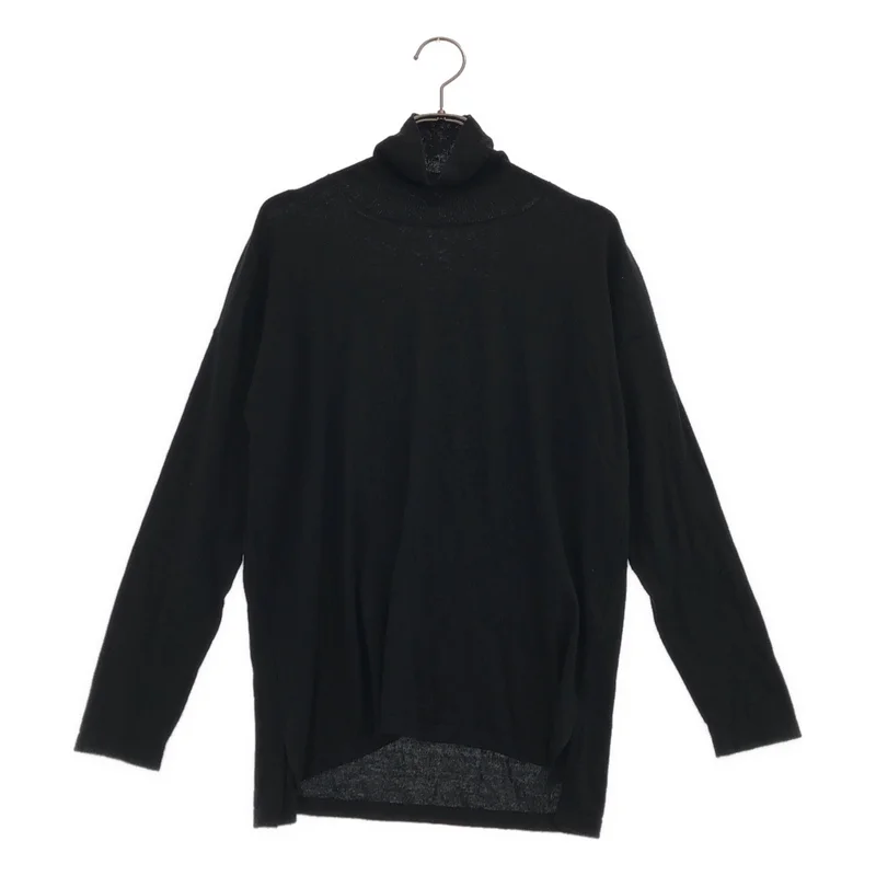 evam eva / エヴァムエヴァ | high gauge turtleneck / シルク カシミヤ ハイゲージ タートルネックニット |