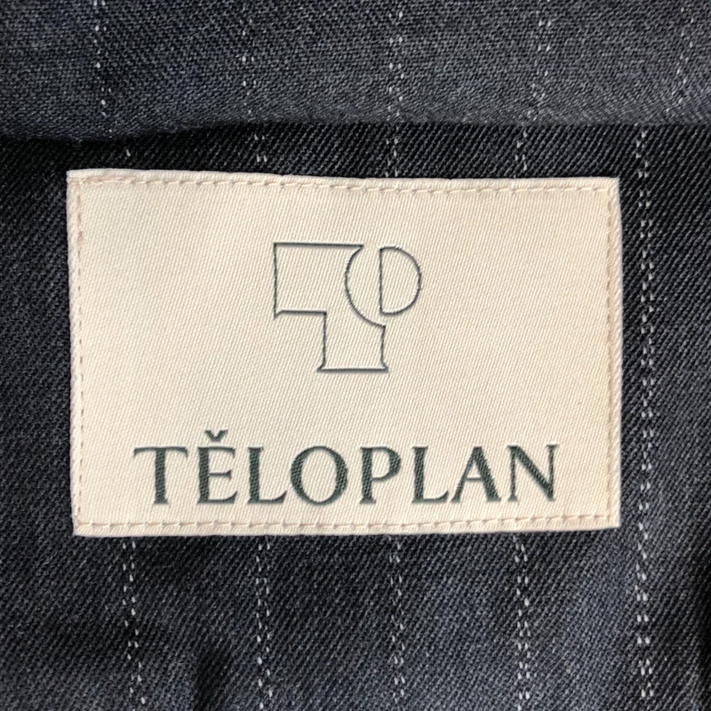 TELOPLAN / テーロプラン | ストライプ ラップ プリーツスカート 0924010701 | F | レディース