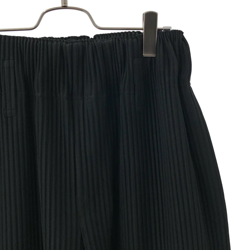 HOMME PLISSE ISSEY MIYAKE / オムプリッセイッセイミヤケ | 2021AW | プリーツ ワイド イージーパンツ | 1 | メンズ