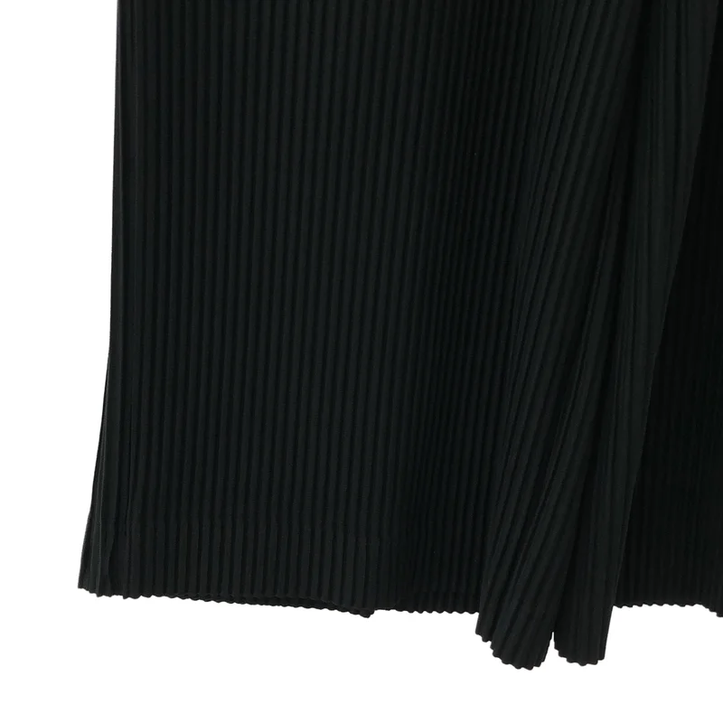 HOMME PLISSE ISSEY MIYAKE / オムプリッセイッセイミヤケ | 2021AW | プリーツ ワイド イージーパンツ | 1 | メンズ