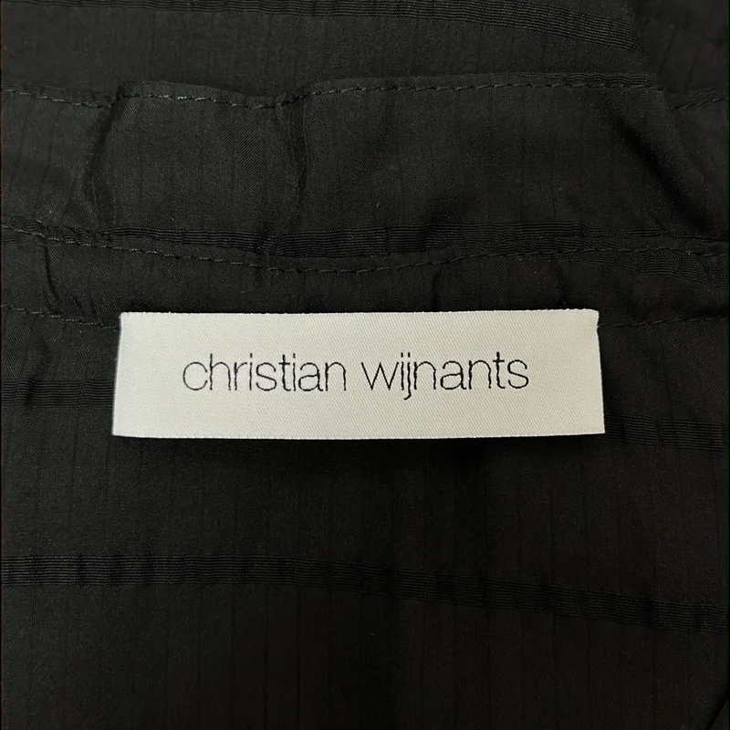 Christian Wijnants / クリスチャンワイナンツ | シルク レーヨン Vネック ブラウス | 36 | レディース