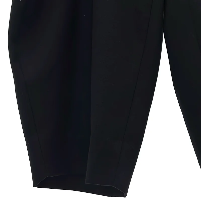 COMME des GARCONS HOMME PLUS / コムデギャルソンオムプリュス | 2024AW | LOOSE LEG TAILORED PANT / ワイドパンツ | M | メンズ