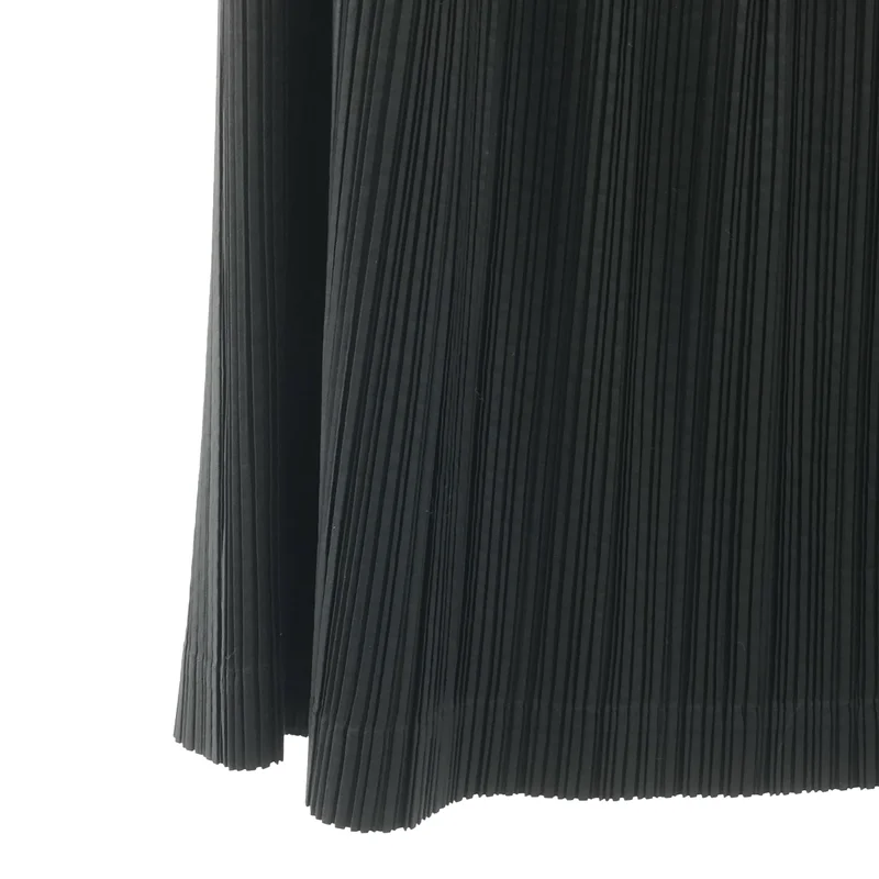 ISSEY MIYAKE / イッセイミヤケ | プリーツ ロングスカート | M | レディース