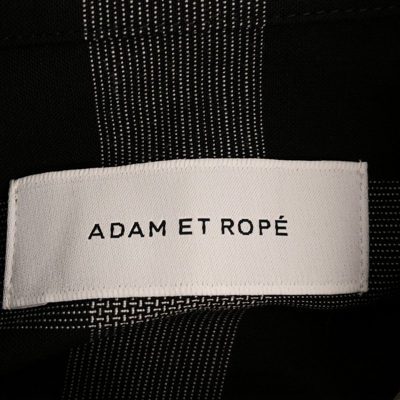 ADAM ET ROPÉ / アダムエロペ | 2026SS | TWトロチェックシャツ/防シワ | F | レディース