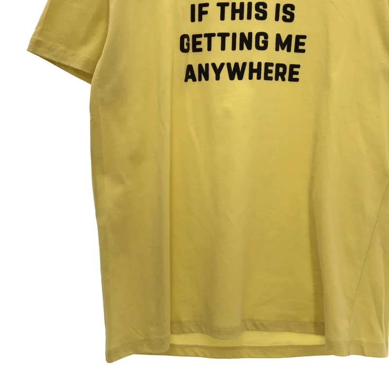 CELINE / セリーヌ | 2020SS | × David Kramer / Flocked Cotton Tee / フロック コットンTシャツ | L | メンズ