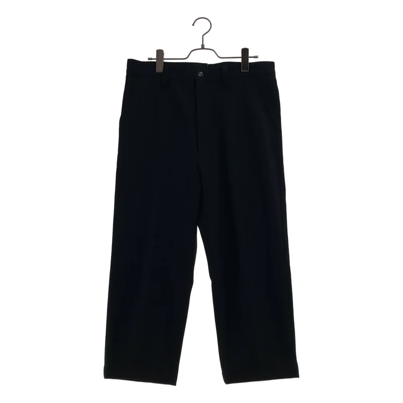 JUNYAWATANABE COMMEdesGARCONS MAN / ジュンヤワタナベマン | 2025AW | ウールナイロンフラノ 12 パンツ WP-P017 | XS | メンズ