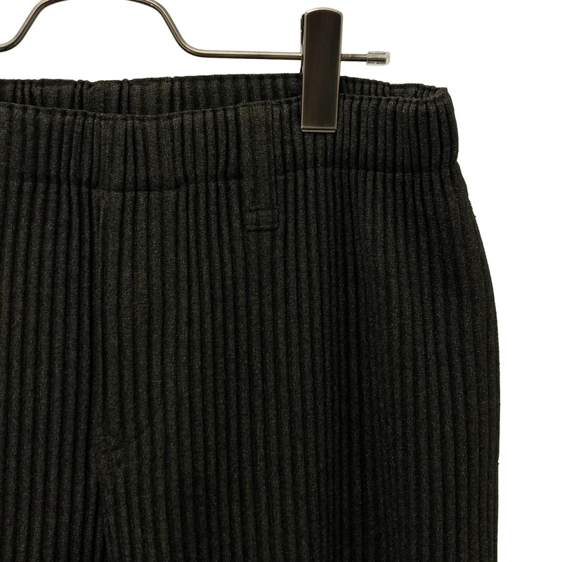 HOMME PLISSE ISSEY MIYAKE / オムプリッセイッセイミヤケ | WOOL LIKE LIGHT プリーツ テーパードパンツ | 2 | メンズ