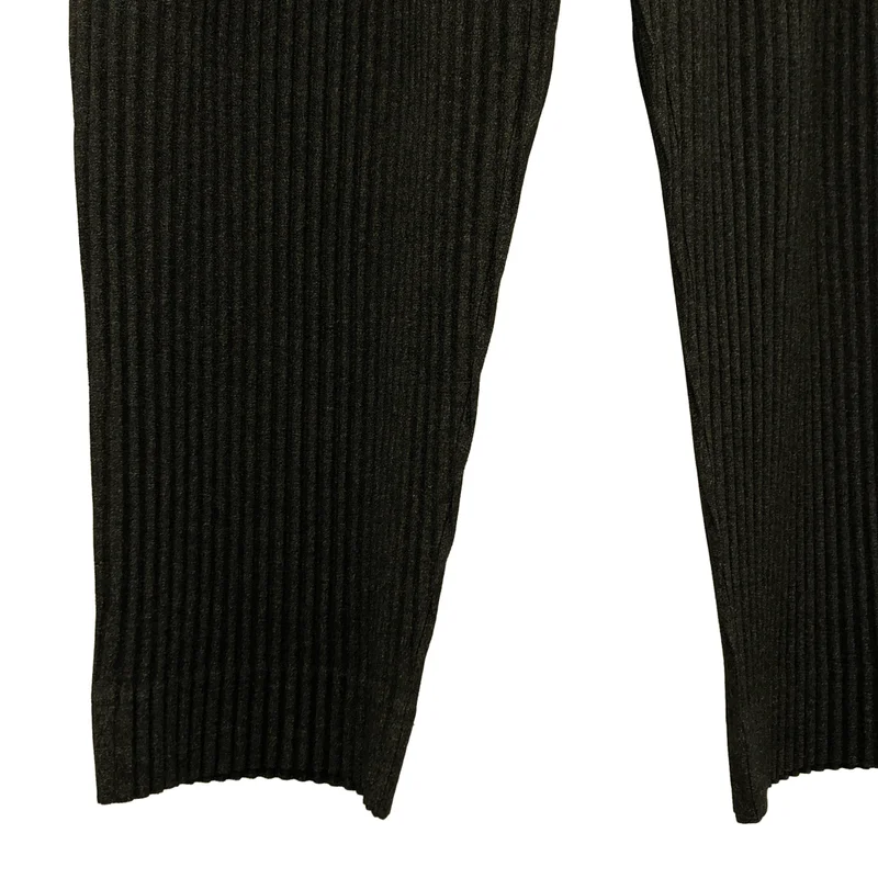 HOMME PLISSE ISSEY MIYAKE / オムプリッセイッセイミヤケ | WOOL LIKE LIGHT プリーツ テーパードパンツ | 2 | メンズ