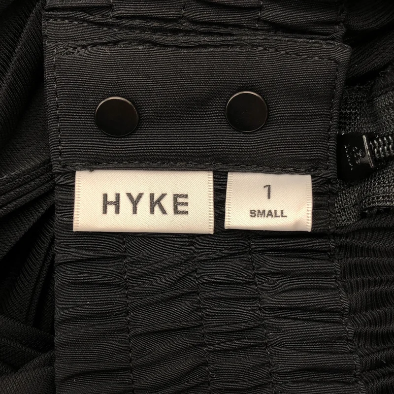 HYKE / ハイク | 2025SS | TAFFETA × ORGANDY PLEATED SKIRT / タフタ オーガンジー プリーツスカート | 1 | レディース