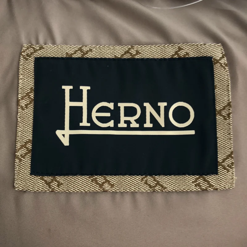 HERNO / ヘルノ | POLAR-TECH デタッチャブルフード スタンドカラー ダウンコート | 46 | メンズ