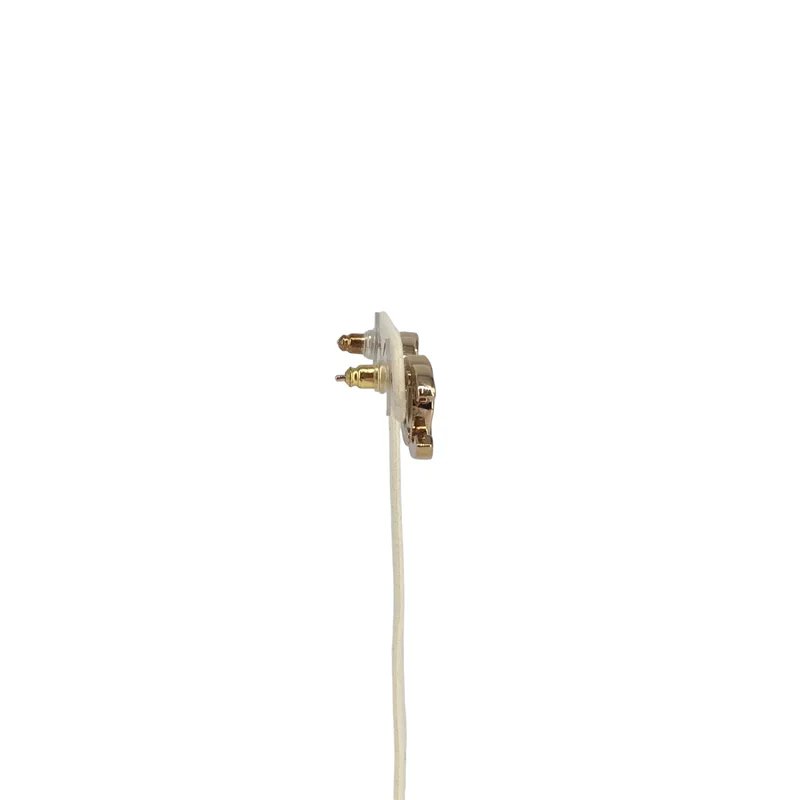 CHANEL / シャネル | ココマーク ピアス |