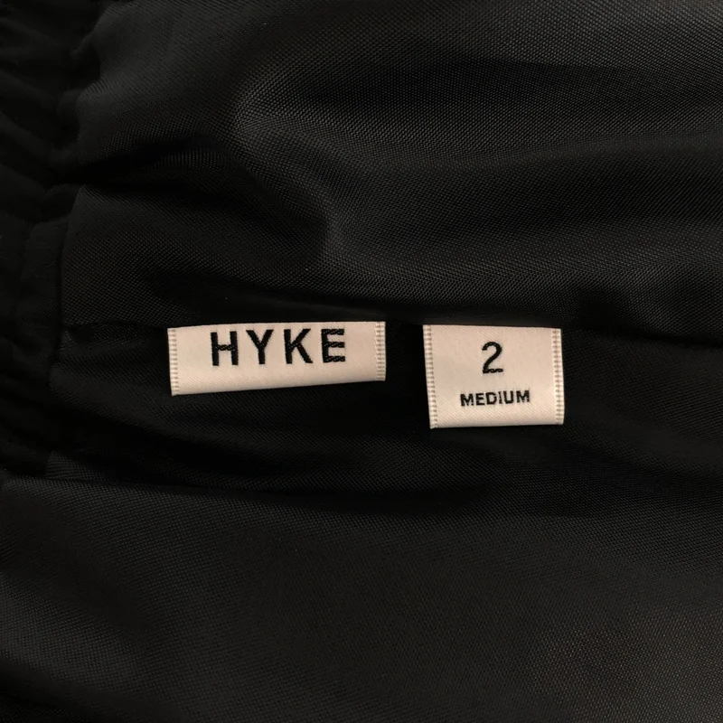 HYKE / ハイク | 2025SS | プリーツ スカート 251-14155 | 2 | レディース