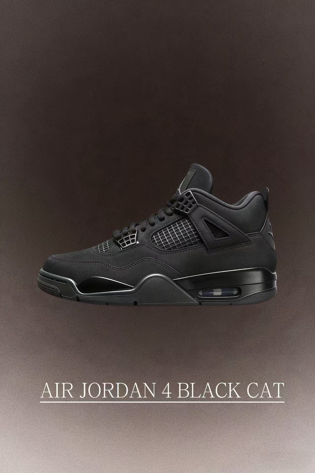Air Jordan 4 Black Cat