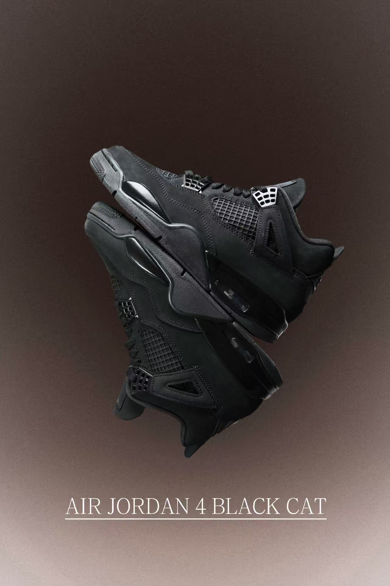 Air Jordan 4 Black Cat