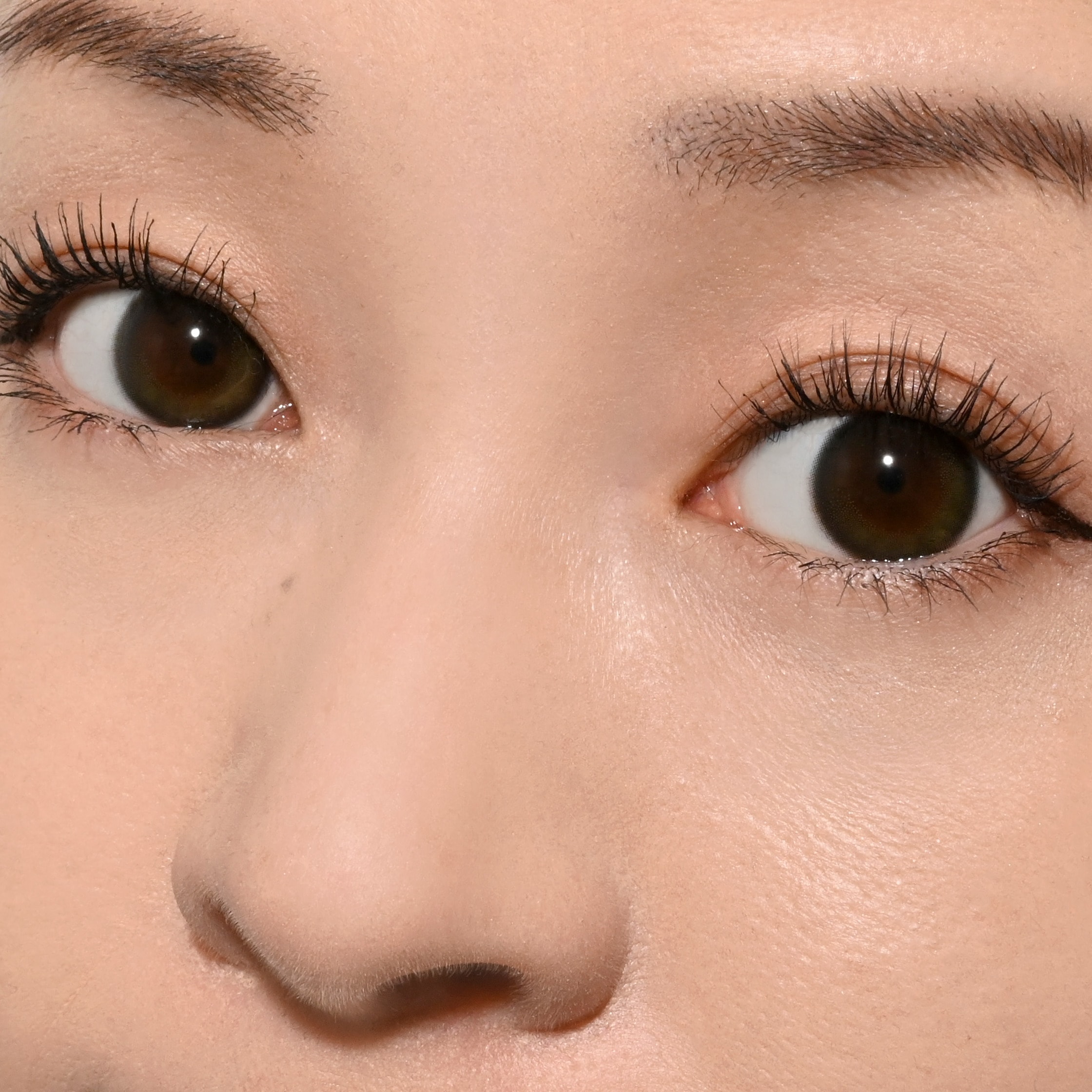ティアーオリーブレポ