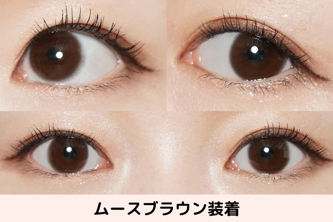 ムースブラウンレポ
