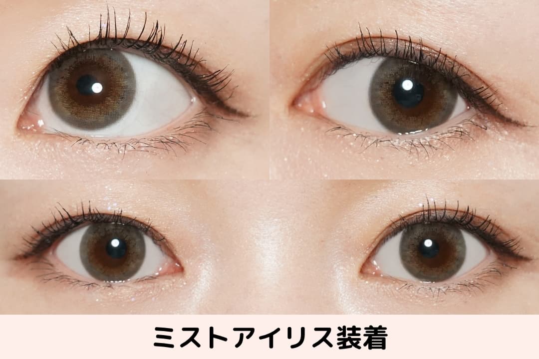 ミストアイリスレポ