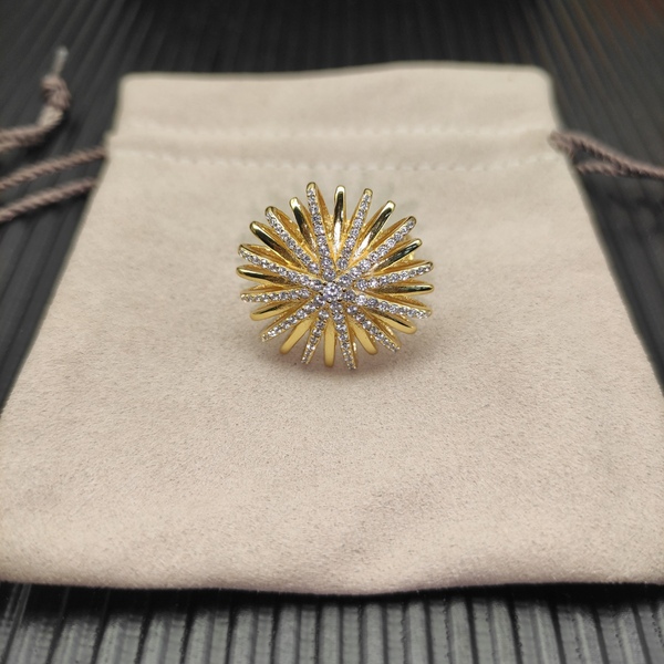 ラグジュアリー スパークリング ファイヤーワークス ラジエーション ピアス ゴールド / シルバー 2 色展開