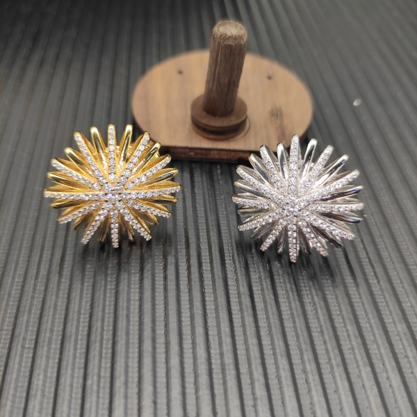 ラグジュアリー スパークリング ファイヤーワークス ラジエーション ピアス ゴールド / シルバー 2 色展開