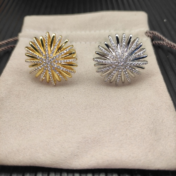 ラグジュアリー スパークリング ファイヤーワークス ラジエーション ピアス ゴールド / シルバー 2 色展開