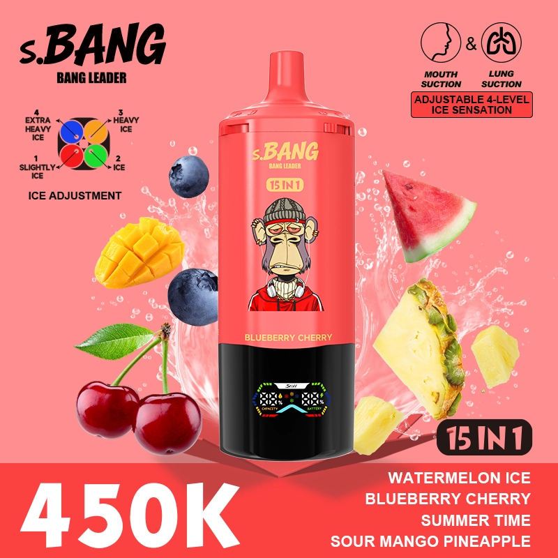 BANG LEADER STOLL 450K Puffs 15 in 1