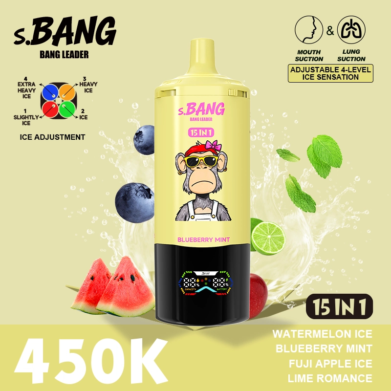BANG LEADER STOLL 450K Puffs 15 in 1